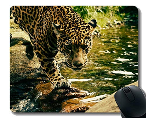 Preisvergleich Produktbild Yanteng-Gaming-Mauspad-Entwurf, Leopard-Raubtier kundengebundene Mausunterlage
