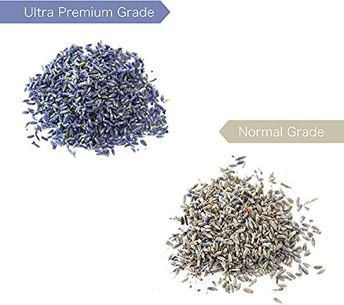 Lavande Sur Terre 1 Lbs French Dried Lavender Buds miniatura 3