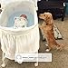 Delta Children Deluxe Sweet Beginnings Bedside Bassinet - Portable Crib with Lights and Sounds, Playtime Jungle