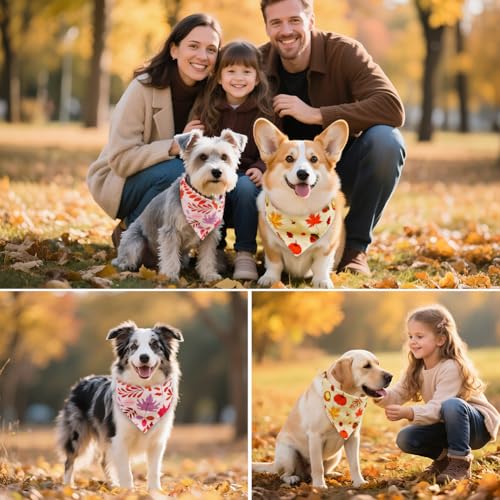 SZEE 2 Stück Hund Kostüm Hundehalstuch, Hundekostüm Dog Bandana mit Beidseitiges Musterdesign- Klassischer Tartan+Ahornblatt und Kürbis, Hundebekleidung Kopftücher Waschbarer für Hunde und Katzen, L