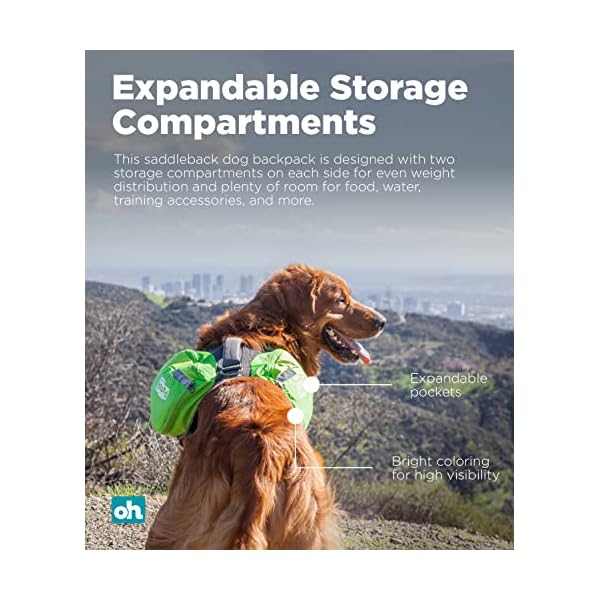 Outward Hound DayPak Green Dog Saddleback Backpack - Adventure Gear for Large Dogs