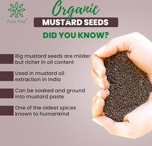 Image of Pure Tree Certified Organic Mustard Seeds Big | 5 Kg / 5000 g | Black Mustard Rai Seeds Big | Sasive seeds Whole Kali Rai Dana | Sarson dana Indian Spice Gluten Free