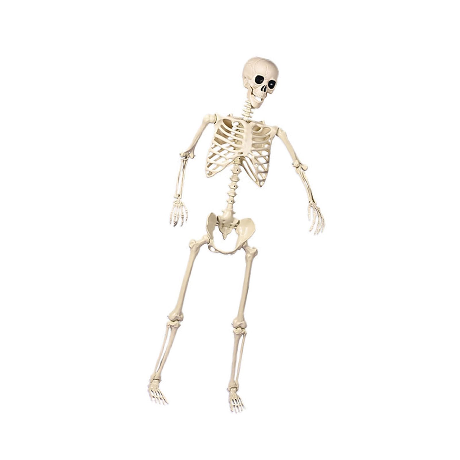 Esqueleto de Halloween de tamaño real resistente para interiores y exteriores, decoración espeluznante para casa encantadora, cementerio, fiesta, esqueleto de tamaño real para Halloween