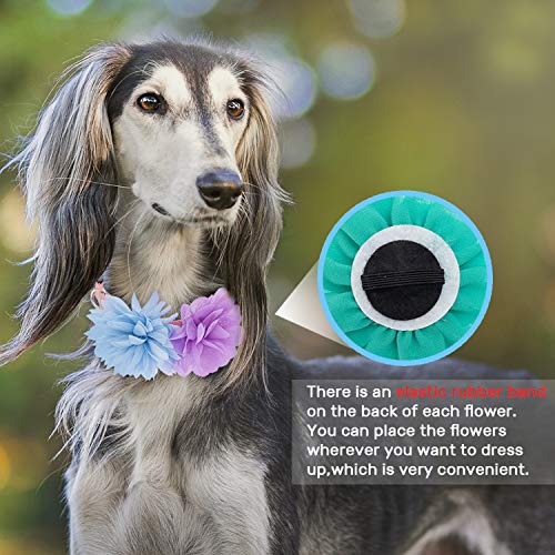 image for ADCSUITZ Dog Collar Flower Charm Accessories - Pet Collar, Harness, Le