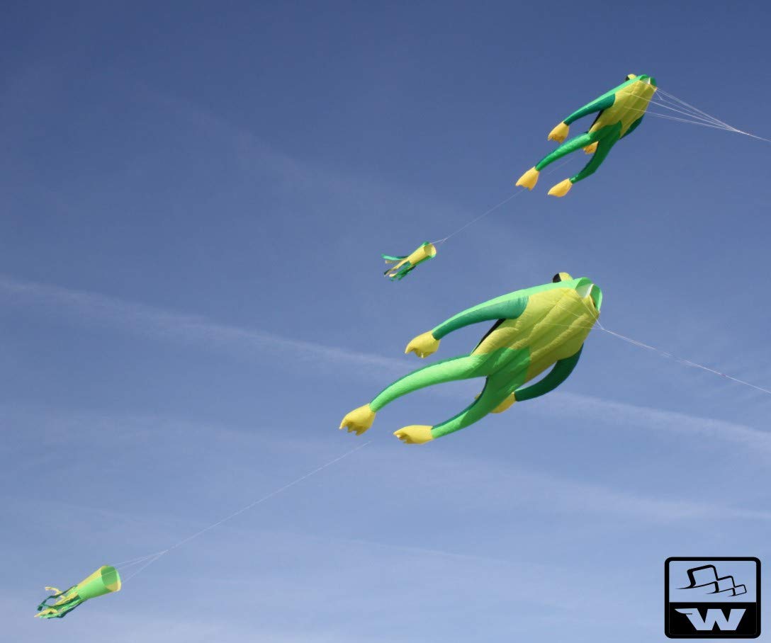 Chmura Fritz Frog XL Green