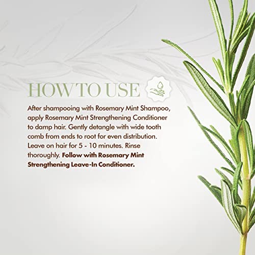 Mielle Organics Rosemary Mint Strengthening Conditioner With Biotin thumb #4