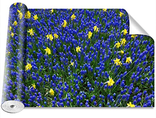 Papier peint fleurs de lupin pour masquer defauts mur maison - 2