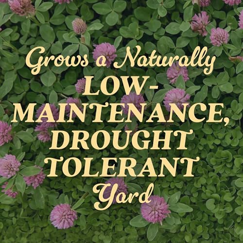 Image of O.M. Scott & Sons Strawberry Clover Seed, 2 lbs.