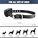 Petrainer PET998DB1 330 Yards Rechargeable and Waterproof Dog Training Collar with Safe Beep, Vibration and Shock Electronic Electric Collar