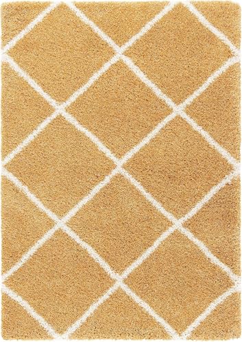 Image of Premium Antiskid Shaggy Carpet /Rug Plain Fur Rectangular Rugs,Soft Microfiber for Bedroom,Living Room,Kids Room,Hall etc (Yellow Box, 4x6 feet)