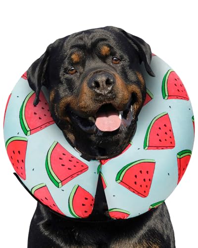 Image of MIDOG Inflatable Dog Cone Alternative for After Surgery - Soft Protective Donut Collar Prevents Licking, Comfortable Recovery E-Collar Alternative for Small Medium Large Dogs (Watermelon,XL)