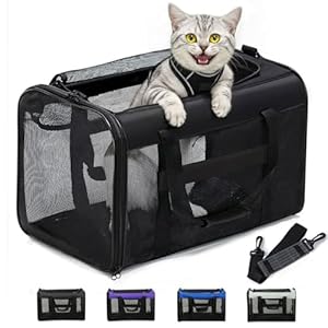 Conlun Cat Carrier Bag,Soft-Sided Pet Carriers for Dogs with 4-Sided Mesh,Airline Approved Cat Transport Carrier for Small&Medium Cats Kitten Puppy Up to 15Lb,Collapsible Cat Travel Carrier-M,Black