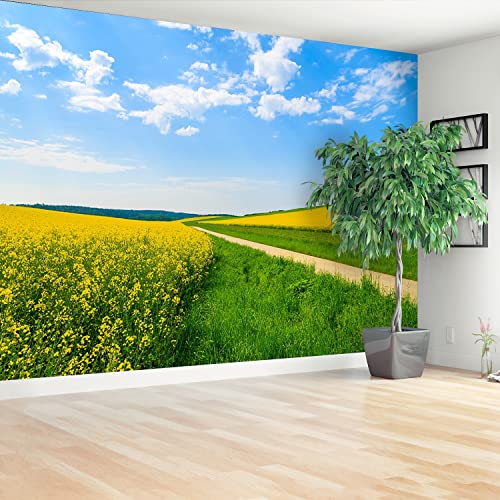 Papier peint moderne pour masquer les defauts deco murale colza Tulup 152x104