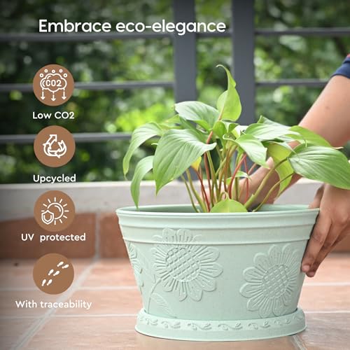 Image of Eha Earth Friendly Nile Planter 9.5 inch Planters for Home Decor| Bamboo Based Plant Pot | Pack of 6 | UV Protected Pot for Plant | Flower Pot for Living Room, for Outdoor and Indoor | Celeste