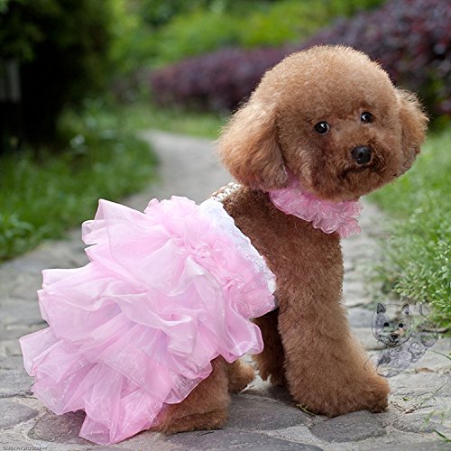 BONNIE&CO (XSサイズ) ドレス犬服ウエディングドレス