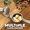 Zulay Kitchen Premium Garlic Press Set - Rust Proof & Dishwasher Safe Professional Garlic Mincer Tool - Easy-Squeeze, Easy-Clean with Soft, Ergonomic Handle - Silicone Garlic Peeler & Brush (Silver) #5
