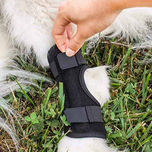 Image of MiMu Rear Dog Leg Brace - 2pk Canine Hock Brace for Small to Medium Sized Dogs - Recovery Dog Hind Leg Support Brace