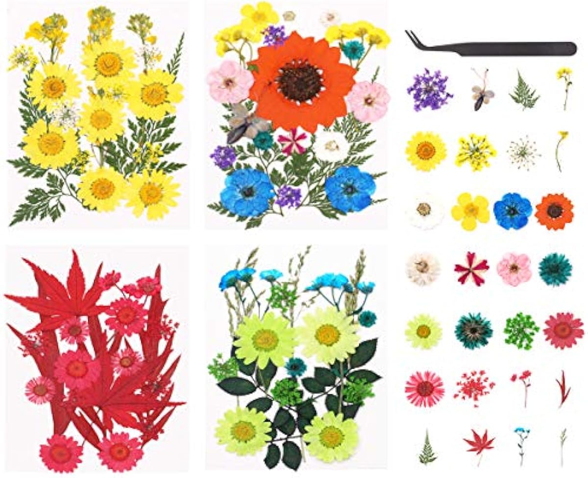 日本お買い得 4枚 本物の乾燥押し花 葉 花びらセット 本物の葉と花の植物標本 ドライフラワー Diy電話ケース ジュエリーペンダント フローラル装飾 石鹸 手作りキャンドル作り 即発送 Littleshopp Com 日本お買い得 4枚 本物の乾燥押し花 葉 花びらセット 本物の葉と花の植物標本 ドライフラワー Diy電話ケース ジュエリーペンダント フローラル装飾 石鹸 手作りキャンドル作り 即発送 Littleshopp Com