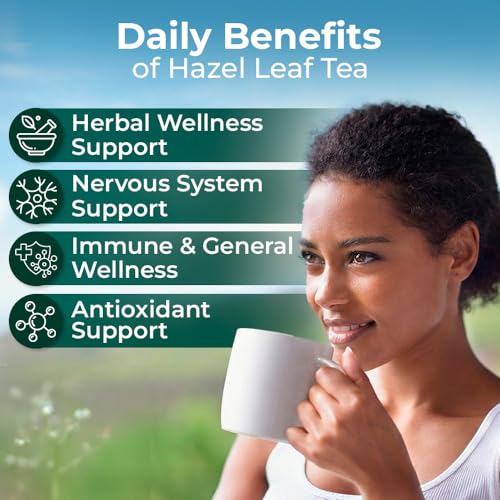 Image of 2 oz. Hazel Leaf Herbal Tea (Folium Coryli avellanae) - 56g Dried Hazel Leaf Tea Hojas de Avellano