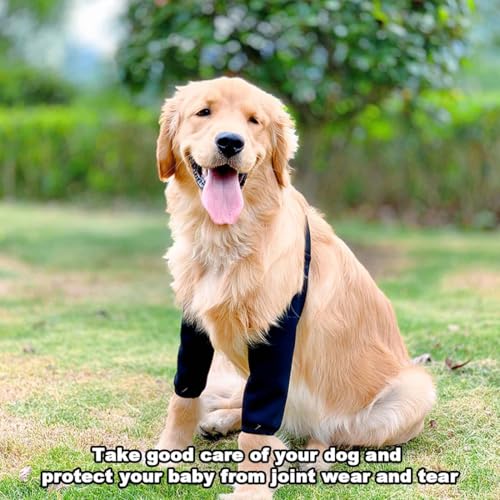 QEDBOJE Hundebeinschutz, Ellenbogenbandage Hund, verhindert das Lecken von Wunden, hilft bei Arthritis (für mittelgroße und große Hunde)