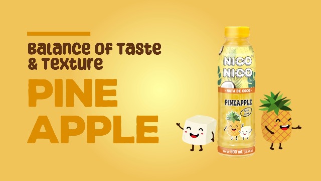 Amazon.com : NICONICO COCONUT GEL JUICE DRINK-VARIETY PACK [16.9