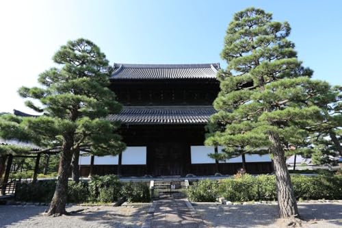 【日本の風景ポストカード】京都 建仁寺 三門 松に囲まれた正面風景 京都市東山区 はがき photo by MIRO