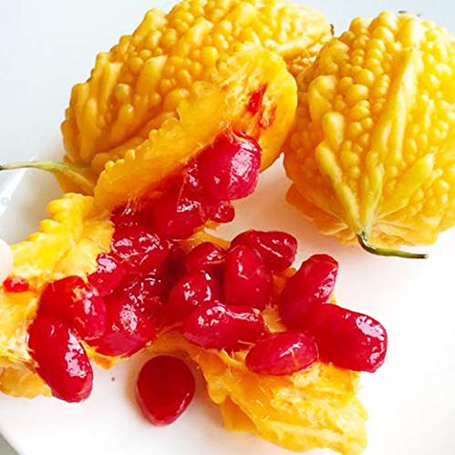 10+ Momordica Vegetable Seeds Annuals Bitter Melon (Gourd) Vine Heirloom Home Garden Non-Gmo #TOP2