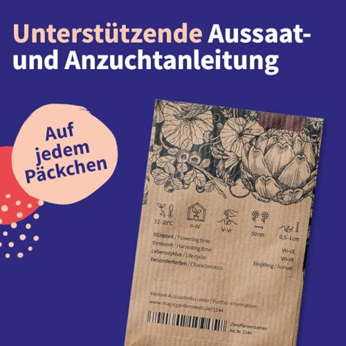 Magic Garden Seeds - 12 samenfeste Gemüsesamen für Garten, Hochbeet & Balkon - alte Sorten - traditionell & wohltuend - Einsteiger Saatgut Set für den Gemüsegarten - Gemüse Samen Set