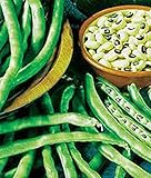 Semilla de guisante, guisantes CALIFORNIA NEGRO ojo, herencia, orgánico, no GMO, 500 semillas, guisantes