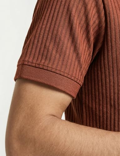 Image of DAMENSCH Men Striped Texture, Cotton-Rich Comfort, Easy Regular fit, Solid Colours Striped Polos