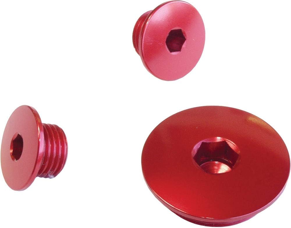 Works CONNECTION ENGINE PLUGS RED_24-621