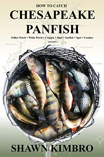 chesapeake light tackle