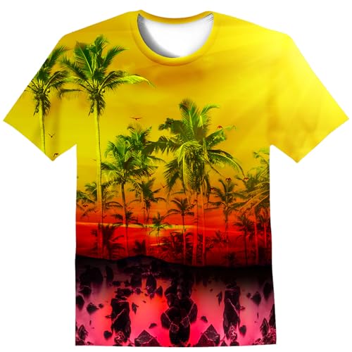 Image of LAIDIPAS Boys Girls 3D Graphic T-Shirt Short Sleeve Tops Tees 6-16 Years | Kids Crewneck Shirts, Vibrant Color, Lightweight and Quick Dry, Trendy Outfits for School, Parties, vacation and Daily Wear