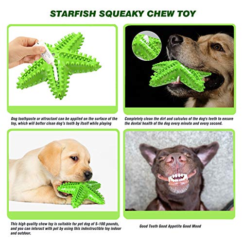 Image of Squeaky Dog Toys - Starfish Natural Teeth Cleaning Toy for Small & Medium Dogs (Green)