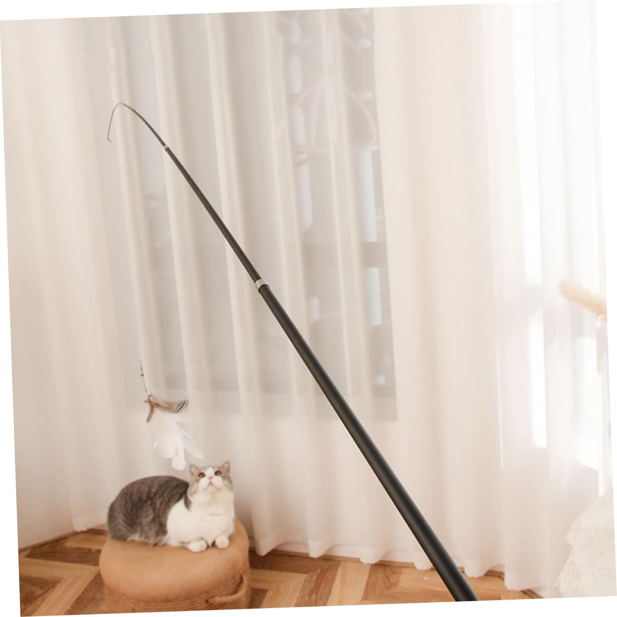 Kisangel Lot De 4 Jouets pour Chat Bâtonnets Interactifs Et Robustes Lot De 2 X 4