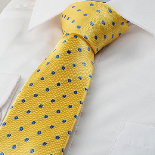 Image of KissTies Mens Necktie Polka Dot Ties For Men Classic Dressing Tie + Gift Box