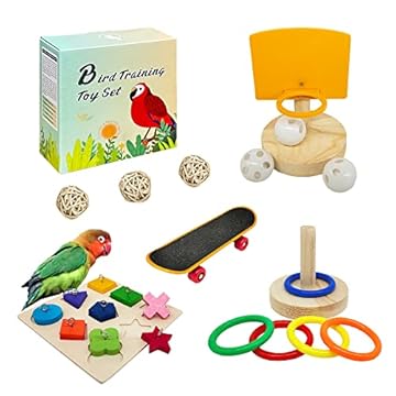 Interactive Bird Toys for Training That Will Surprise You 1 interactive bird toys for training
