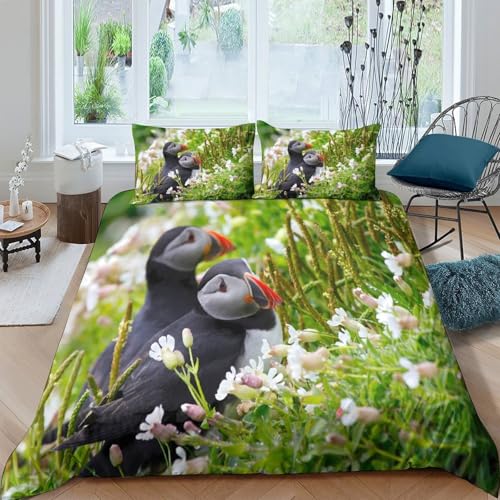 Housse de couette caniche de qualité supérieure parure de lit King 220x240