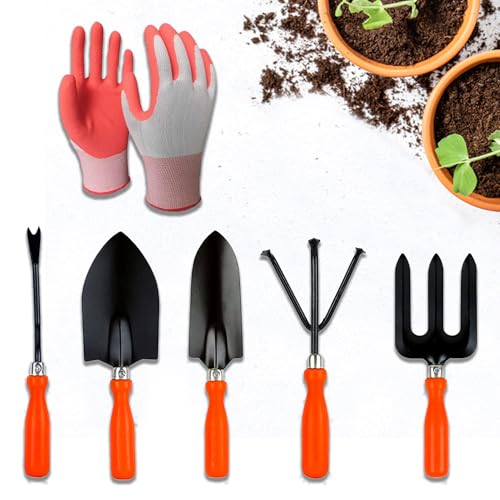 Image of Cinagro Garden Tools Kit (Set of 6) Weeder, 2 Trowels, Hand Fork, Cultivator, Gardening Hand Gloves | Gardening Tools Kit for Home Garden, Indoor and Outdoor Gardening for Plants and Soil