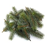 deko tannenbaum holz mit rinde  24x Tannenstreu grün, 3 Größen L 7/9/12cm, Tanne, Kunststoff, Outdoor !!!