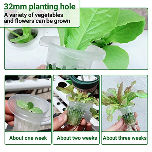 ZXMT Hydroponic Grow Kit 108 Plant Sites 3 Layers Hydroponics Growing System Garden Plant System for Leafy Vegetables with Water Pump, Pump Timer, Nest Basket and Sponge - Image 6