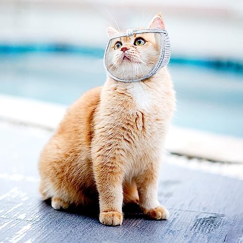 DONGKER Katze Maulkorb, Katzenmaulkorb mit Atmungsaktivem Mesh und PVC Gesichtsschutz für Kätzchen Katzen Verhindern Beißen Kauen Katzenpflege