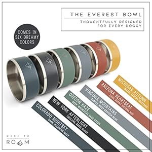 Premium-Everest-Bowl-Stainless-Steel-Double-Walled-Vacuum-Insulated-Dog-Bowl-with-Non-Slip-Grip-New-York-Afterlight-32oz - Cucciolini Doodles   Premium-Everest-Bowl-Stainless-Steel-Double-Walled-Vacuum-Insulated-Dog-Bowl-with-Non-Slip-Grip-New-York-Afterlight-32oz