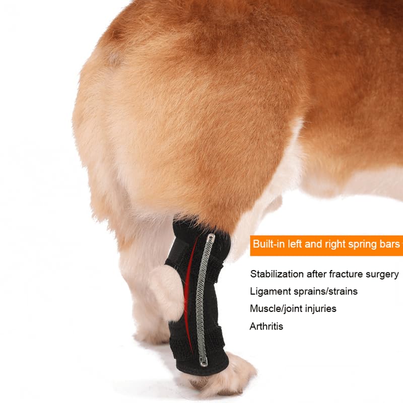 Image of Anosiar Dog Rear Leg Hock Brace, Pair of Canine Dog Leg Joint Wraps Compression Brace Protects Wounds, Heals and Prevents Injuries and Sprains Helps with Loss of Stability Caused by Arthritis (XL)