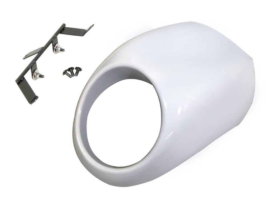 どうぞヒデさん専用 Amazon.co.jp: ワールドウォーク SV650専用ビキニカウル パール