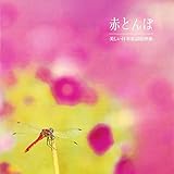 赤とんぼ~美しい日本童謡旋律集