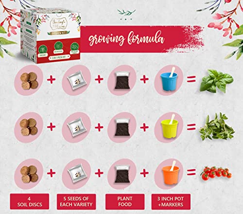 3 in 1 DIY Grow Kit by Bombay Greens | Pizza Gardening Kit | Grow Your Own Pizza Kit - Italian Basil Seeds, Oregano Seeds & Red Cherry Tomatoes Plant Seeds | DIY Kit of Pizza Seeds for Home Garden