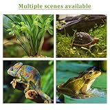 BEELUKY sphaigne naturelle séchée 200 g pour terrarium humide photo 6