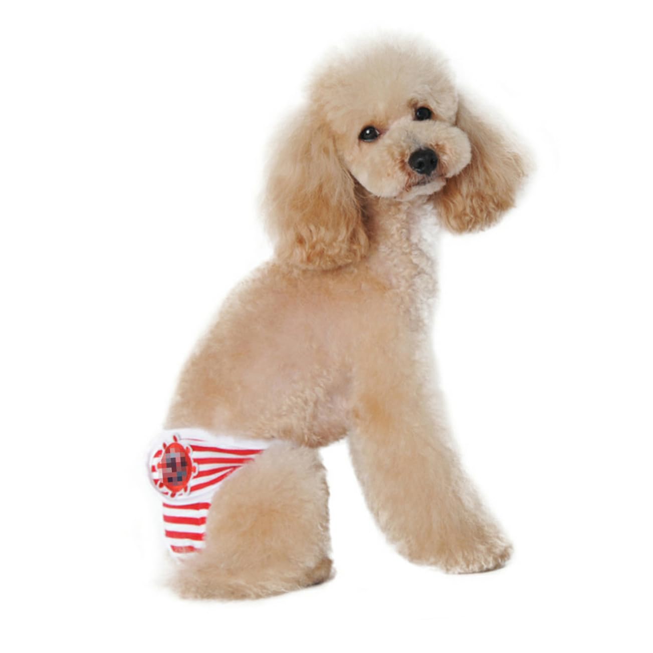VANZACK Pet Safety Pants Adjustable Striped Pattern Dog Diapers for Female Dogs Comfortable Physiological Sanitary Pants Red XXL Protects Carpets and Floors Avoids Annoyance