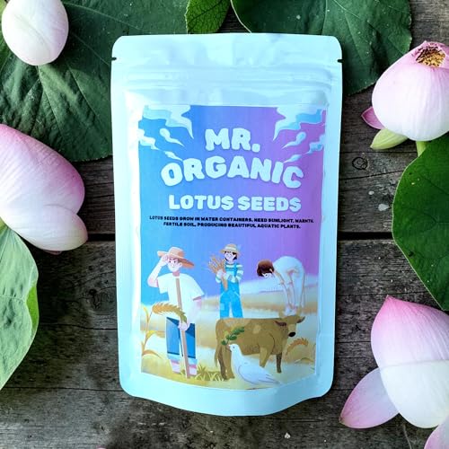 Mr.Organic Lotus Flower Seeds White,Red,Pink (45 To 50 Seeds) 50 Gram | Lotus Seeds for Planting in Home Garden & Ponds | Hybrid Japanese Lotus Flower Seeds | High Germination Rate With Sandpaper